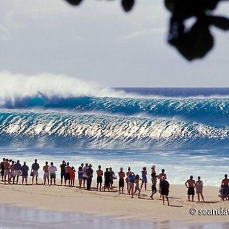 Willa Pristine Location In Turtle Bay Near Beach Kahuku Zewnętrze zdjęcie