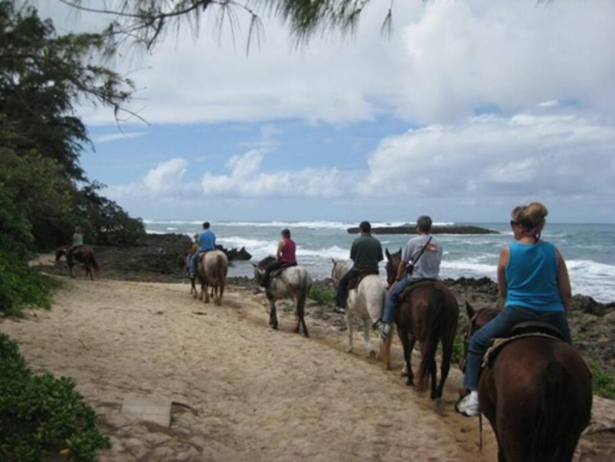 Willa Pristine Location In Turtle Bay Near Beach Kahuku Zewnętrze zdjęcie